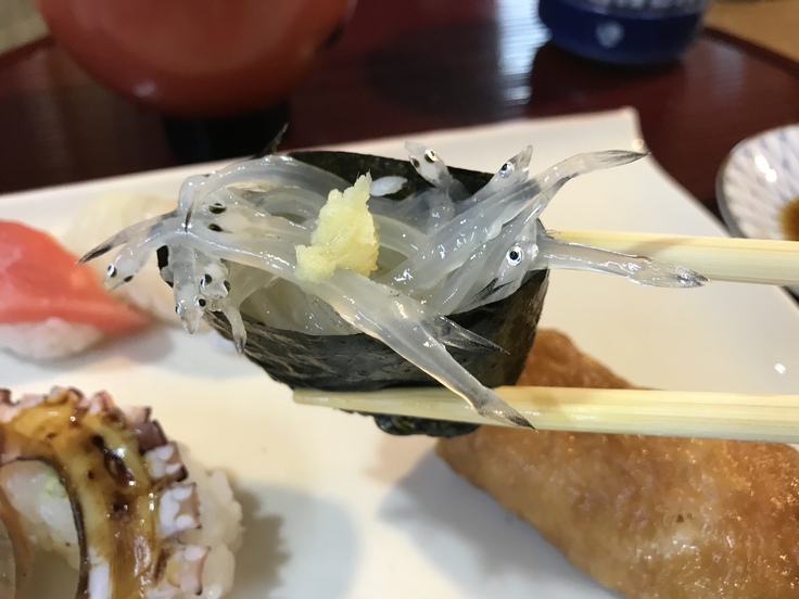 鮨忠本店でランチ(八王子)_c0212604_124852100.jpg