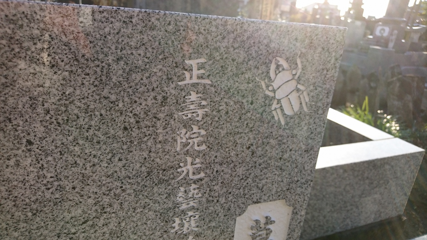 群馬へ帰省。_a0077249_11001128.jpg