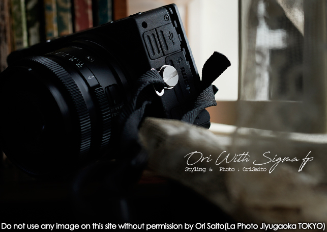 シグマ fpとわたくし。ホットシューユニットSIGMA HOT SHOE UNIT HU-11編 #SIGMA #SIGMAfp_f0212049_07000698.jpg