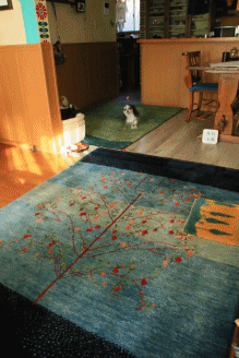家RUN♪ (そしてB.Bと・・)_c0145250_09333671.gif