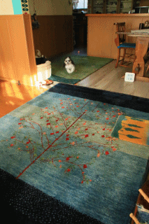 家RUN♪ (そしてB.Bと・・)_c0145250_09334733.gif