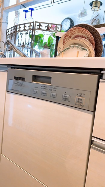 ビルトイン食洗機の水漏れ_e0237680_10020317.jpg