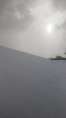 雪…降らないなァ~_b0343293_22004980.jpg