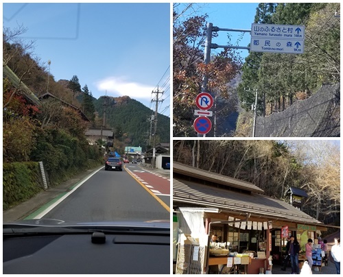 畑へ_c0051105_17334964.jpg