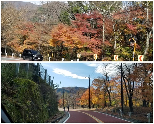 畑へ_c0051105_17372657.jpg