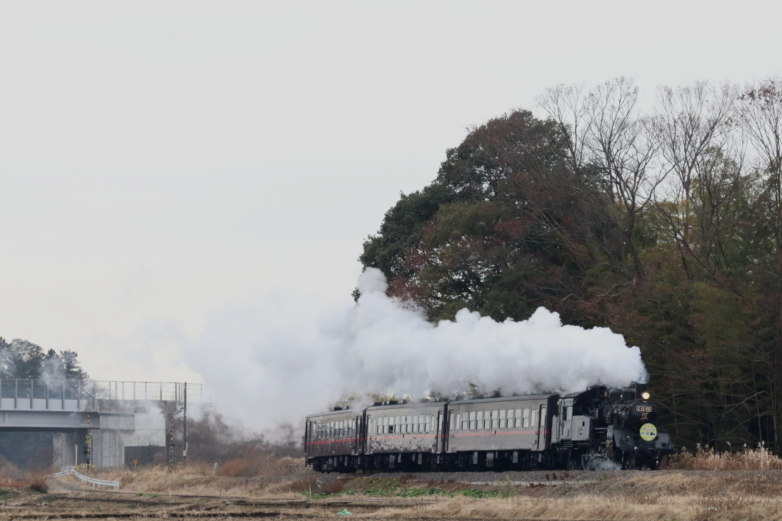 白飛びした曇天に白煙が溶け込む 年冬 真岡鉄道 ねこの撮った汽車