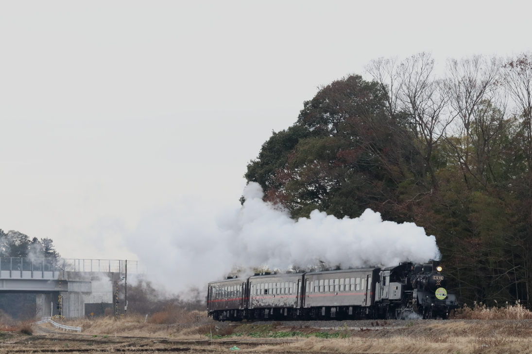 白飛びした曇天に白煙が溶け込む…　- 2020年冬・真岡鉄道 -_b0190710_20250140.jpg