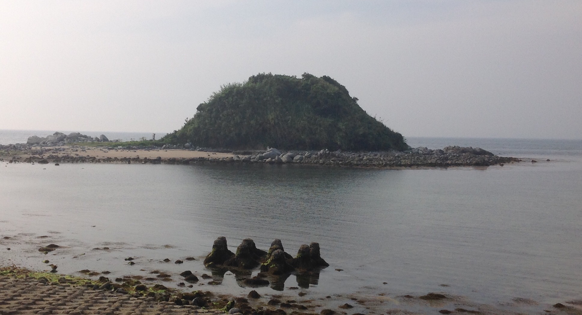 禊ぐ(みそぐ)_b0325317_08461799.jpeg
