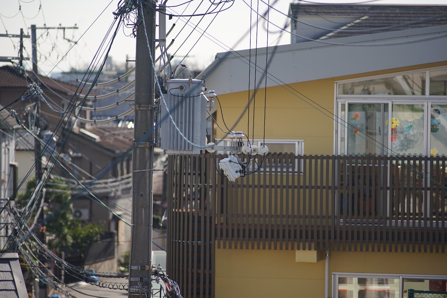 藤本写真工業アナスティグマート75mmF3.5 と ニッコール Q 200mmF4 試写_b0069128_08381084.jpg