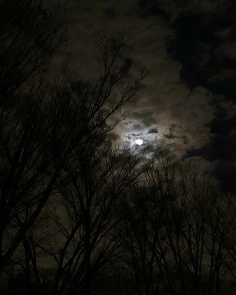 夜道_c0102228_21401411.jpeg