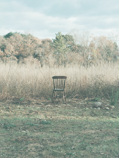 「植物 会 2020」を始めます_e0158628_10351631.jpeg