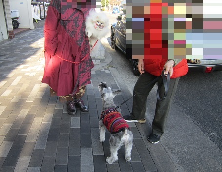 今日は鏡開き_b0177436_21334955.jpg
