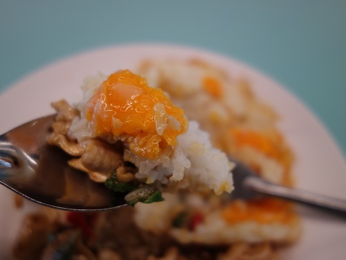バンコク大学のカフェテリアでガパオ・ガイを食べてみた_c0030645_00201277.jpg