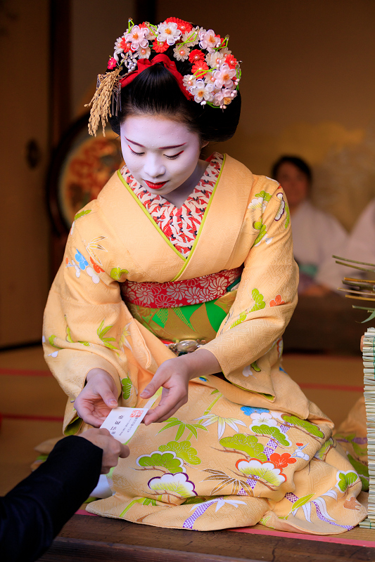 十日ゑびす・残り福（祇園甲部 槇里子さん、小純さん） : 花景色