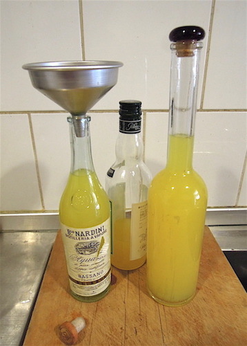 LIMONCELLO_b0282654_15462183.jpg