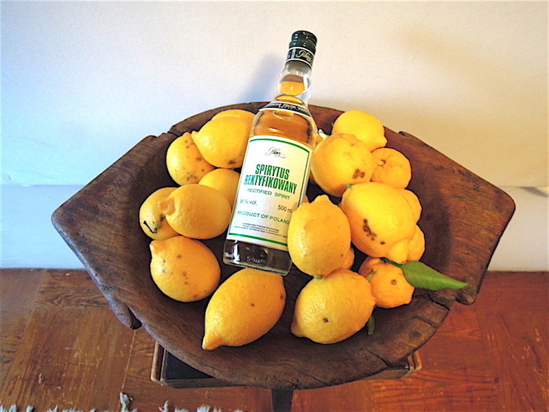 LIMONCELLO_b0282654_16294360.jpg