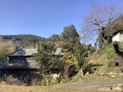 日本晴れとアオモジ_d0336460_02255455.jpeg