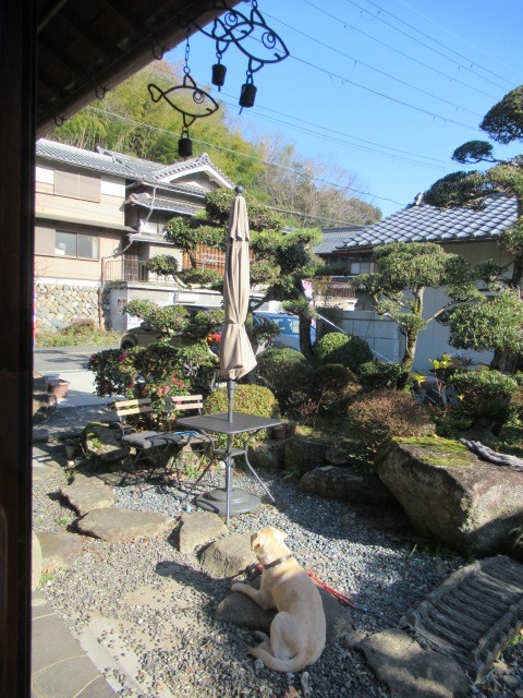 奥河内・音CAFE HenoHeno ＊ 古民家×ハワイアンカフェ再訪♪_f0236260_23042793.jpg