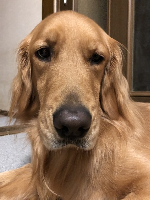 明日だけど今日_a0394574_00202513.jpeg