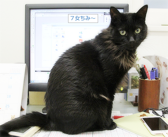 仕事をしながら、痩せる秘訣_a0389088_09194938.jpg