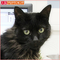 仕事をしながら、痩せる秘訣_a0389088_09194956.jpg
