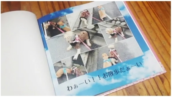 楽天写真館のフォトブック作ってみた おカープ婦人な私の勝手な喜怒哀楽