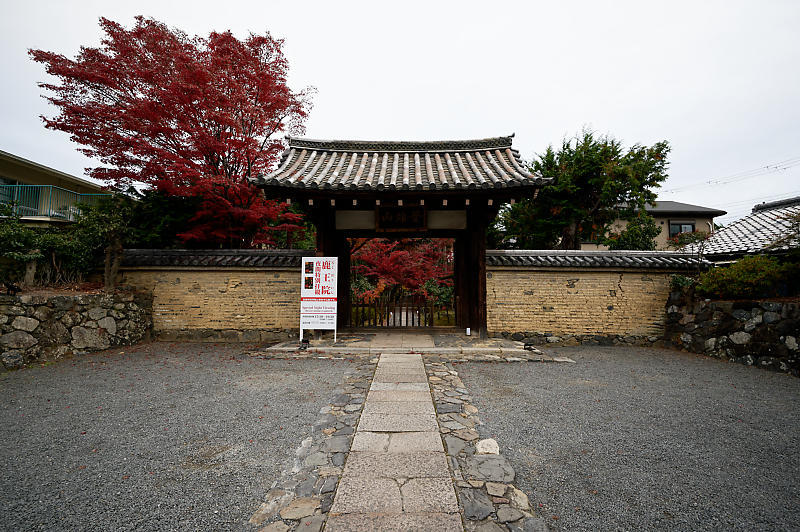 2019京都の紅葉・嵯峨 鹿王院_f0032011_19411898.jpg