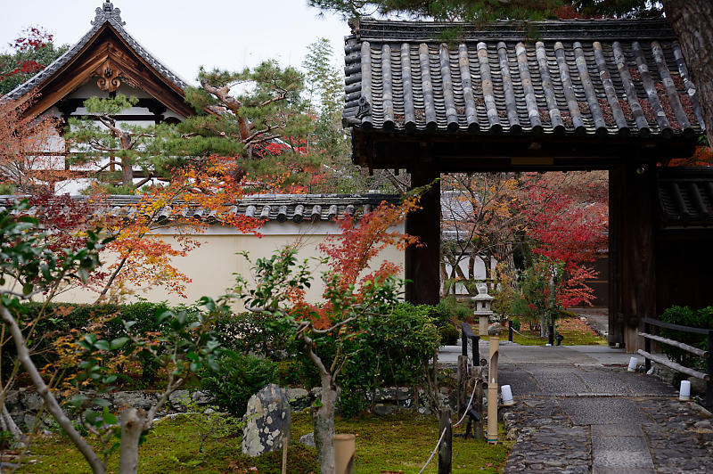 2019京都の紅葉・嵯峨 鹿王院_f0032011_19462797.jpg