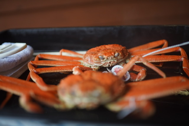 まゝに/1月の散策 上越、妙高_d0342426_16515387.jpeg