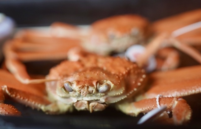 まゝに/1月の散策 上越、妙高_d0342426_16522157.jpeg