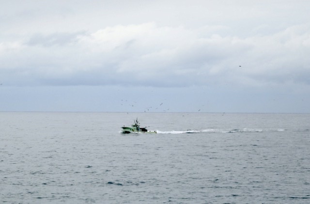 まゝに/1月の散策 上越、妙高_d0342426_16560203.jpeg