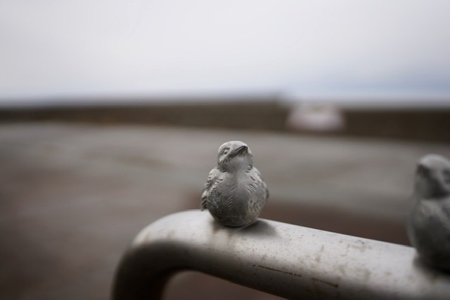 まゝに/1月の散策 上越、妙高_d0342426_16563411.jpeg