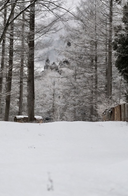 まゝに/1月の散策 上越、妙高_d0342426_16594495.jpeg