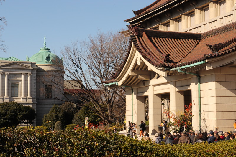 綺麗なチューリップは台東区上野公園です。_a0214329_20401490.jpg