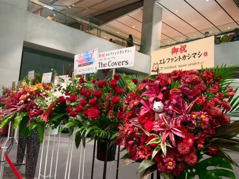 宮本 独り散歩から一時帰国 エレファントカシマシ新春コンサート 東京 1日目 A線上のアリア チェンバロ奏者 廣澤麻美 公式ブログ Asami Hirosawas Blog