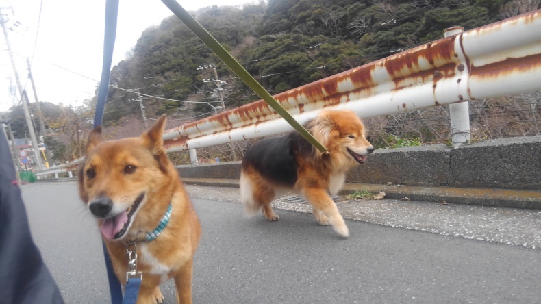 探検隊‼_e0401283_22135030.jpg