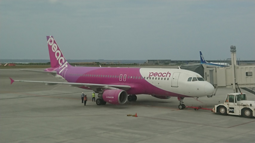 ソーキそば 空港食堂@那覇_f0051283_1722574.jpg