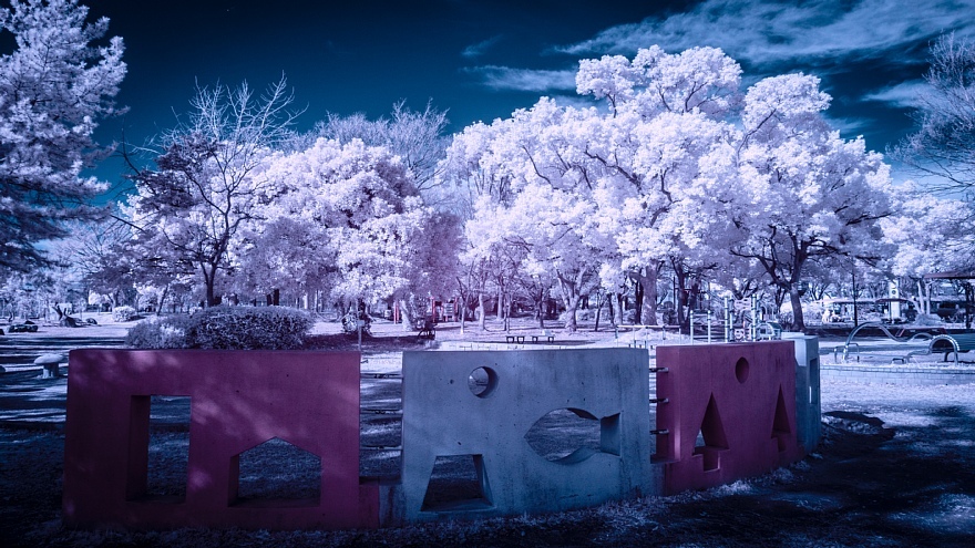 偽総天然色に彩られた公園_d0353489_19270555.jpg