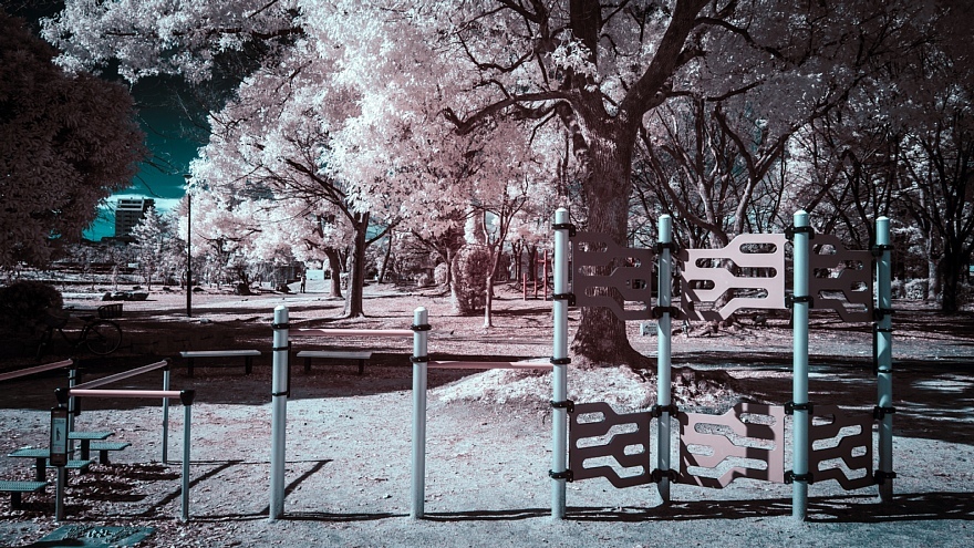 偽総天然色に彩られた公園_d0353489_19271271.jpg