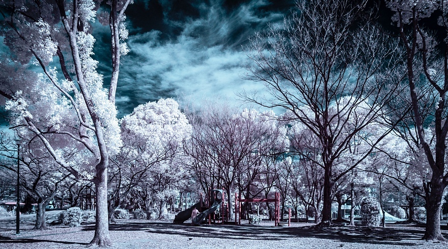 偽総天然色に彩られた公園_d0353489_19272493.jpg