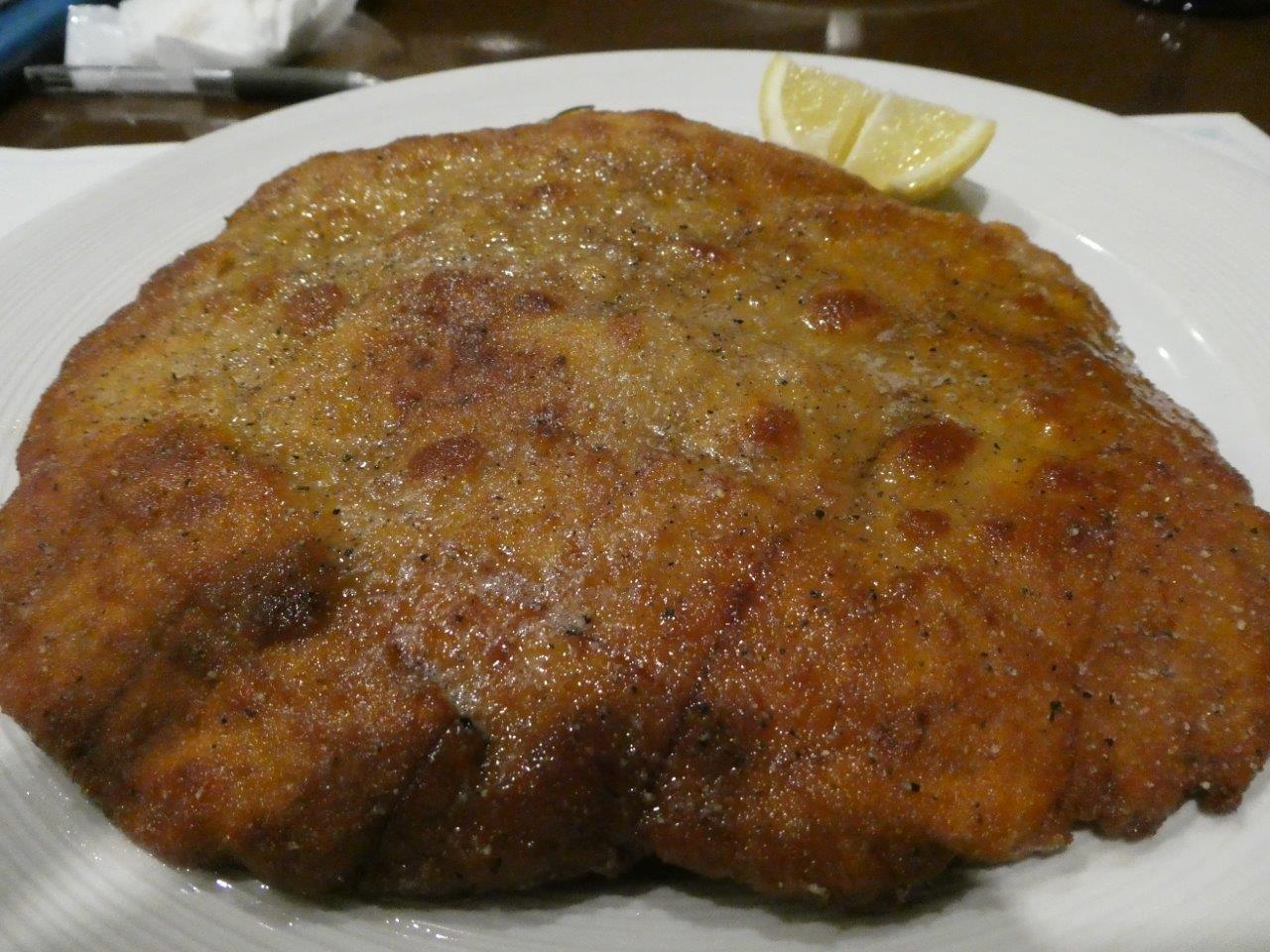 プッチーロ （PUCCIRO）　像の耳とは_d0106134_23284451.jpg