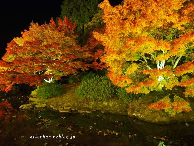 栗林公園のライトアップ紅葉2019と美味しい天麩羅うどん アリスのトリップ2 栗林公園のライトアップ紅葉2019と美味しい天麩羅うどん アリスのトリップ2