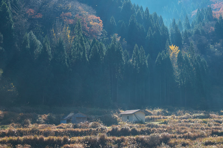 小春日和の里山_c0067040_11405799.jpg