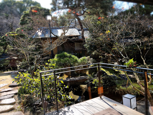 南禅寺参道 菊水_e0292546_13313064.jpg