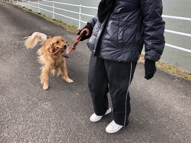 三連休にありがとう_a0394574_19330790.jpeg
