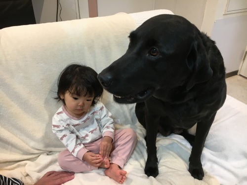 まずわんこに、、、。_f0347891_16341070.jpeg