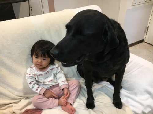 まずわんこに、、、。_f0347891_16353492.jpeg