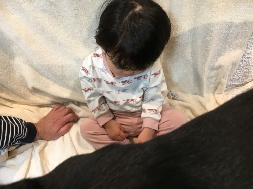 まずわんこに、、、。_f0347891_16362679.jpeg