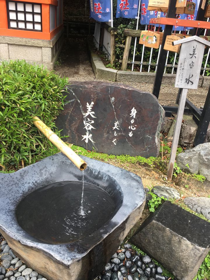 京都へ初詣_a0370893_01340454.jpg