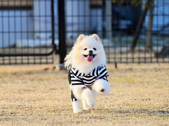 こっちのが似合う?_d0360206_00163752.jpg